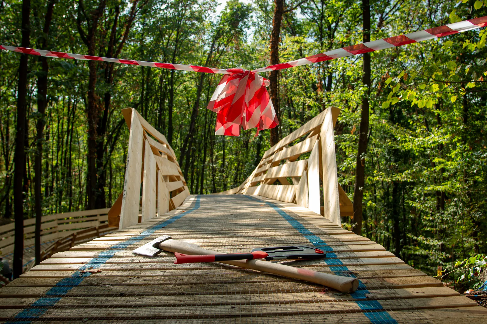 Da Vinci Bridge — officially open! — photo 5